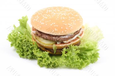 delicious hamburger