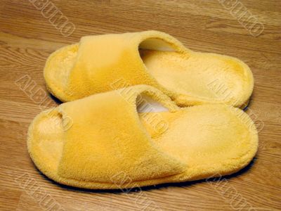 Plush slippers