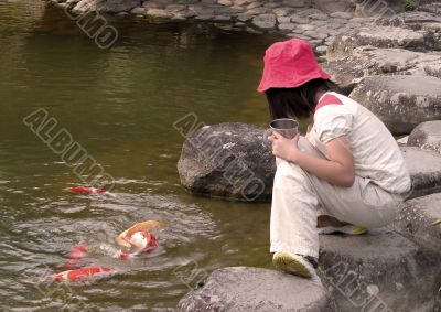 Kid feeding colorful carps