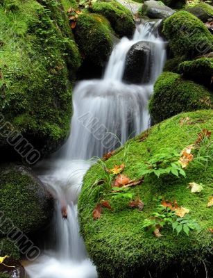 Waterfall in the forest