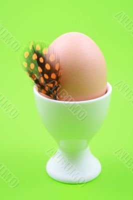 one egg and feather on green background