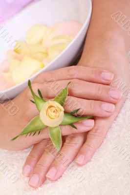 hands care