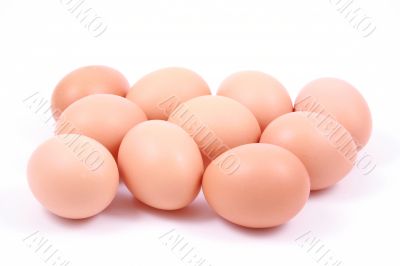 lots of eggs