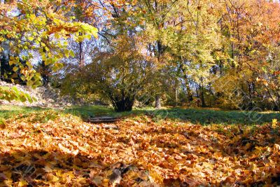 Autumn park