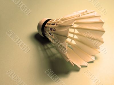 Shuttlecock and shadow