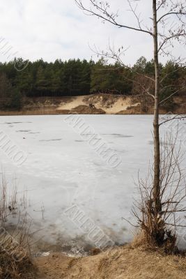 Forest lake Forest lake
