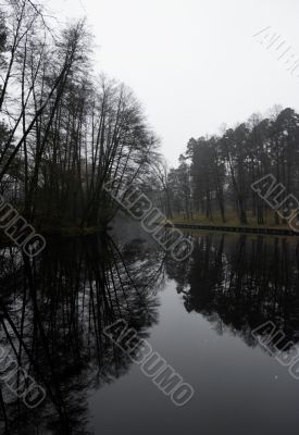 Grey lake near Kiev with strange trees