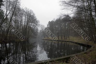 Grey lake near Kiev with strange trees