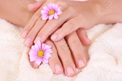 beautiful hands