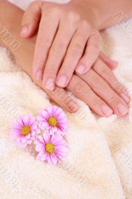 beautiful hands