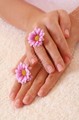 hands care