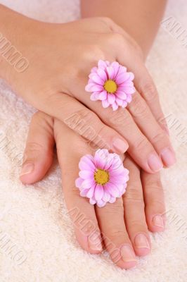 beautiful hands