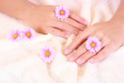 beautiful hands
