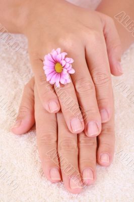 beautiful hands