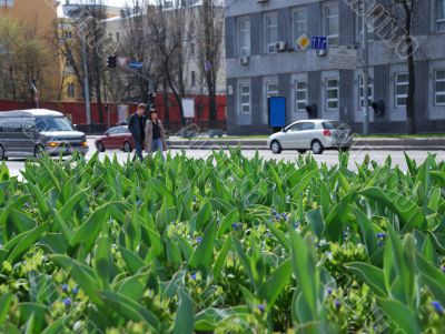 Vladimirskaya Street in Kiev