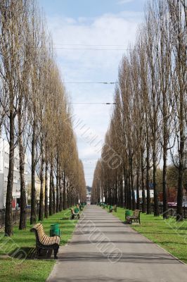 Boulevard Shevchenko in Kiev