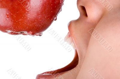 Apple Bite