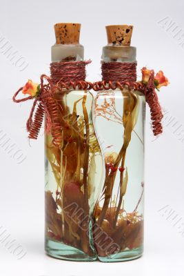 Bottle with plants 3