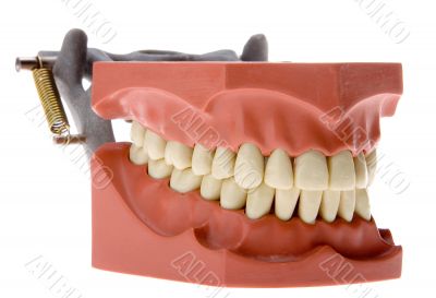 Dental mold 3
