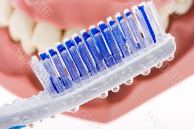 Dental mold and toothbrush 2