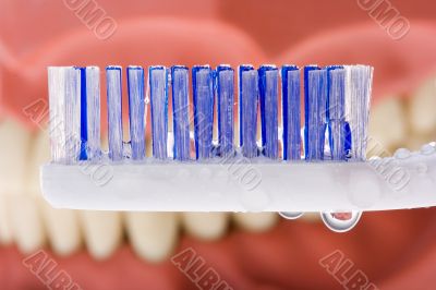 Dental mold and toothbrush