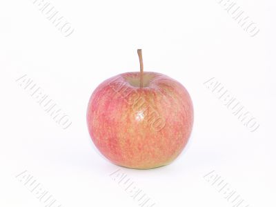 red apple red apple