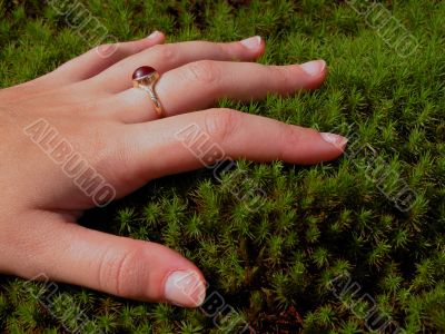 Woman Hand And Moss