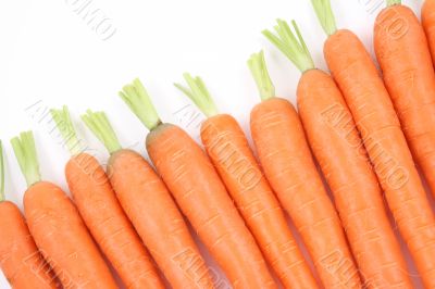 fresh carrots fresh carrots