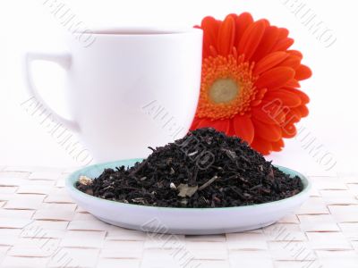 time for tea time for tea