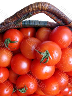 Tomatoes