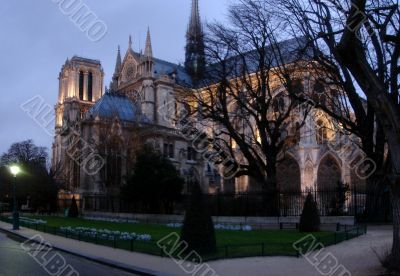 Night Notre Dame. Paris