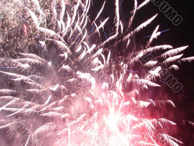 Night celebration fireworks upon dark sky