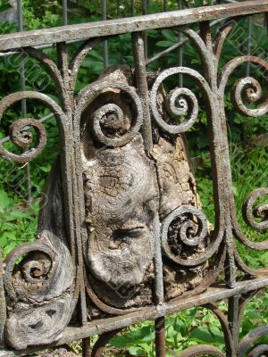 Tree and Metal Ancient Interlacing