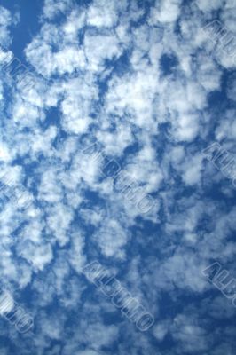 skyscapes skyscapes