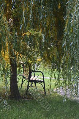 Autumn bench in park Autumn bench in park