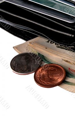 Wallet And Some Money