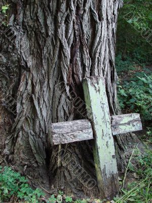 Aged broken wooden cross near huge wood