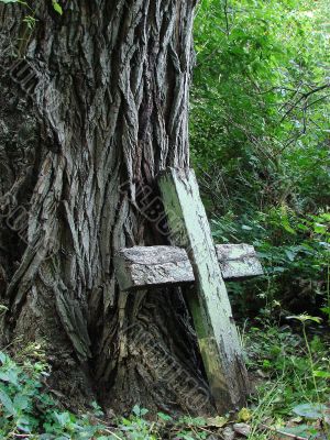 Aged broken wooden cross near huge wood