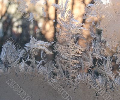 Hoarfrost on window glass