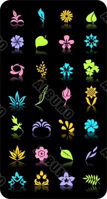 flowers and leaves. Vector objects.