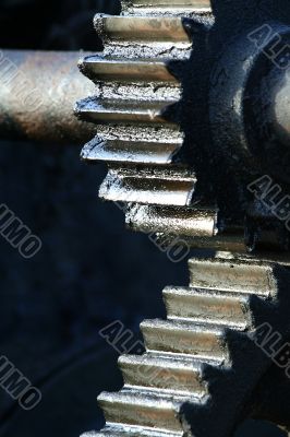 pinion