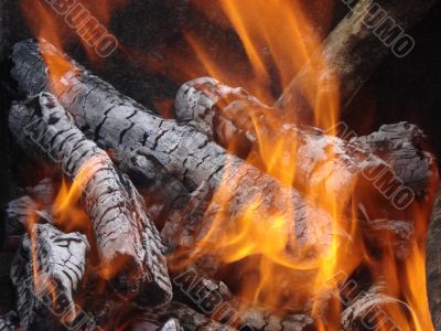 Flaming wooden coal logs of camping fireplace