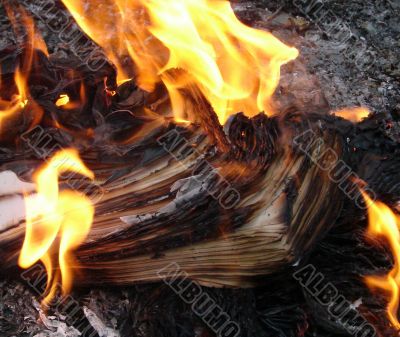 Flame of burning paper sheet stack