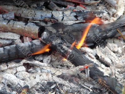 Flaming wooden coal logs of camping fireplace