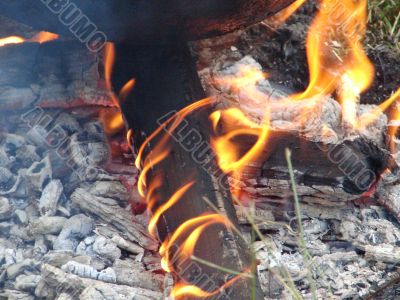 Flaming wooden coal logs of camping fireplace