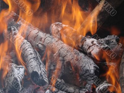 Flaming wooden coal logs of camping fireplace