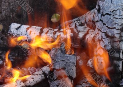 Flaming wooden coal logs of camping fireplace