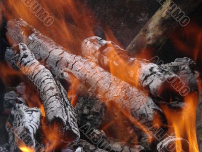 Flaming wooden coal logs of camping fireplace 03