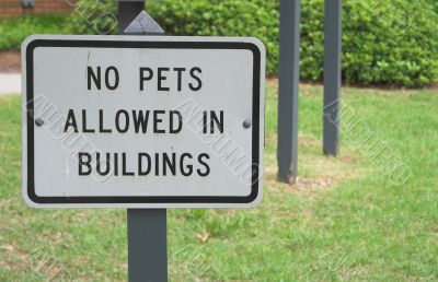 No Pets Allowed In Building