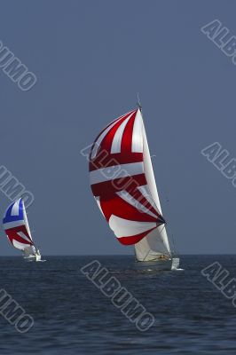 Sailing. The winner and losed.